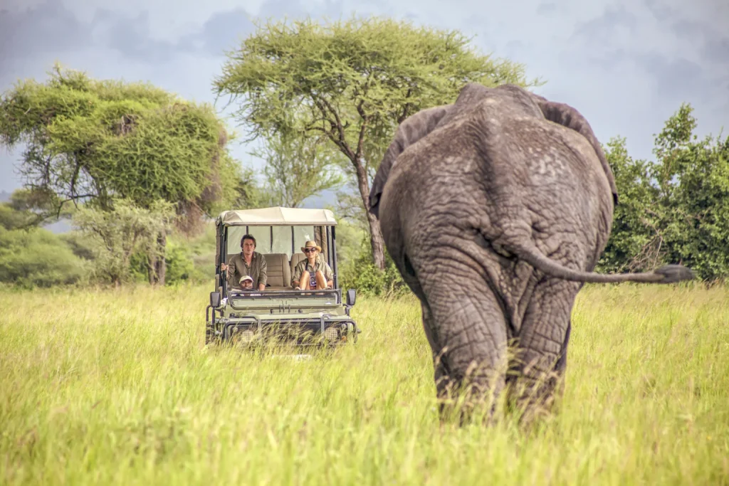 adhamaadventures-chem-chem-lodge-RAW-1536x1024 Premium Luxury Safari in Tanzania