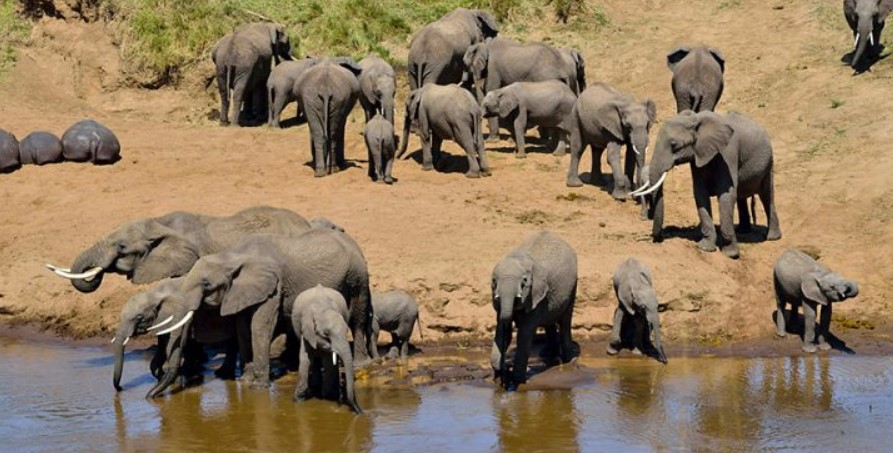 Tarangire National Park